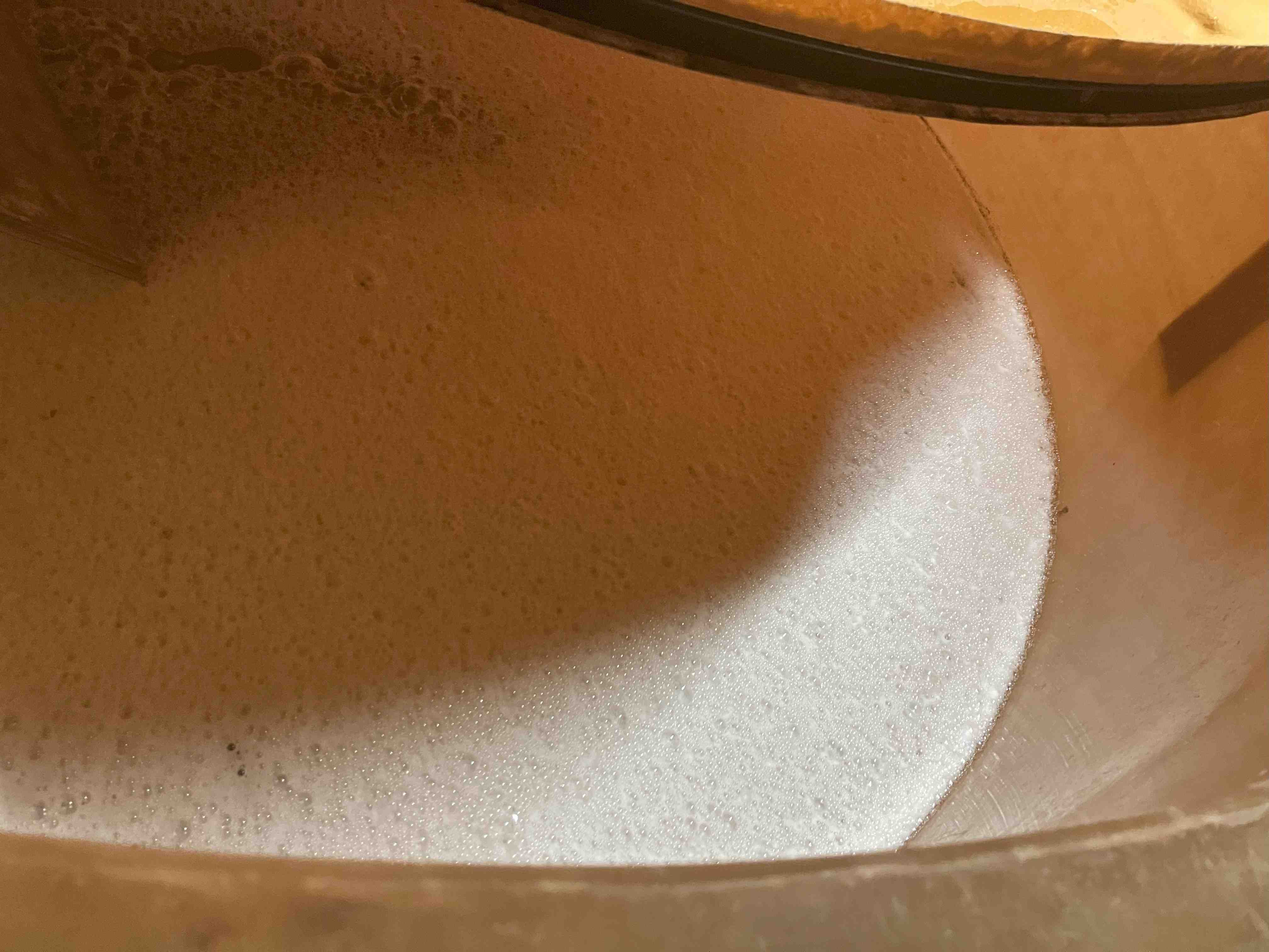 Fermentation
